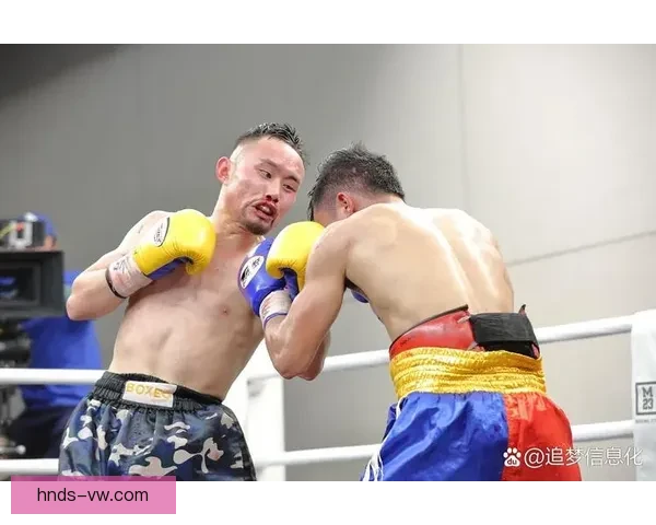 散打对决泰拳:力量与技巧的巅峰较量全方位解析 散打对决泰拳:力量与技巧的巅峰较量全方位解析